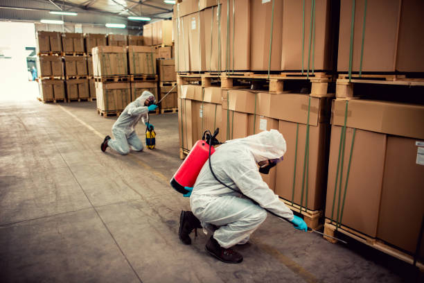 Trusted Greenville, OH Pest Control Experts