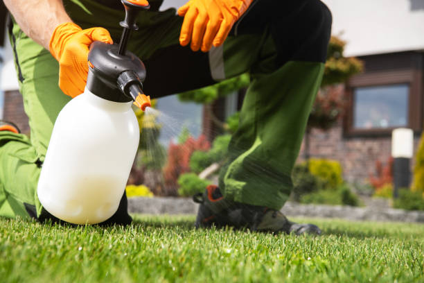 Best Emergency Pest Control  in Greenville, OH