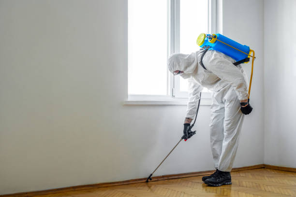 Best Pest Control for Homes  in Greenville, OH