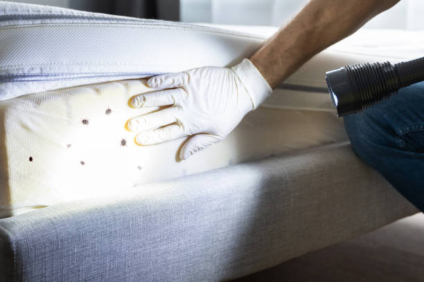 Best Affordable Pest Control Services  in Greenville, OH