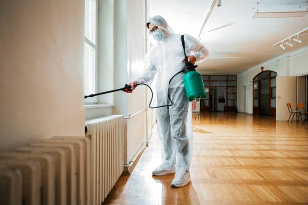Best Local Pest Control Services  in Greenville, OH