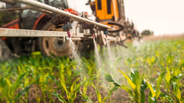 Best Commercial Pest Control Services  in Greenville, OH